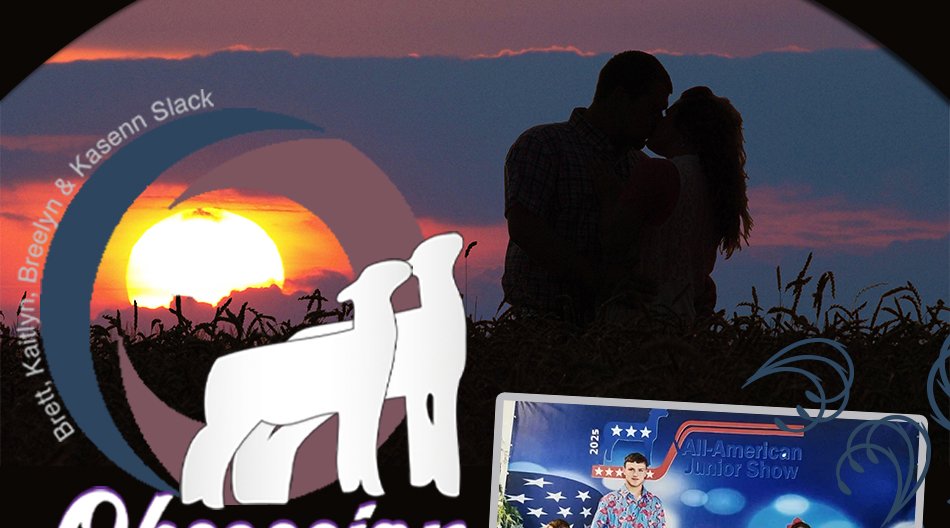 Obsession Show Stock