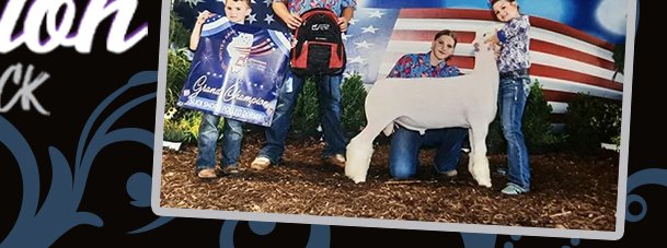 Obsession Show Stock