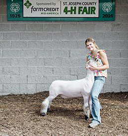 Reserve WFX Market Lamb
Champion Dorset Market Lamb
St. Joseph County 4-H Fair