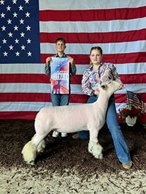 Champion Dorset Advantage Ewe
Cass Co Open Show