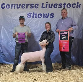 Champion Dorset Ewe
4th Overall Ewe
Converse Livestock Show