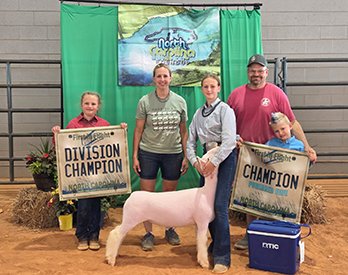 Grand Champion Dorset Ewe
Grand Champion Purebred Ewe
3rd Overall Ewe
NC Sheep and Goat Roundup