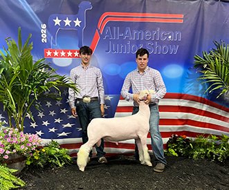 2nd Place Dorset Ram Lamb
AAJS