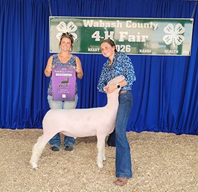Champion Dorset Market Lamb
Reserve Black Face Cross Market Lamb
Wabash County Fair