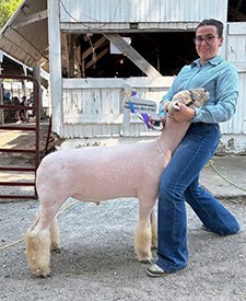 Champion Southdown Market Lamb
Fulton County Fair