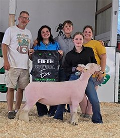 5th Overall Ewe
Fulton County Fair