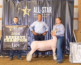 Reserve Champion Ewe Overall
All Star Breeding Sheep Jr. Show