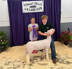 Reserve Champion Dorset Advantage Ewe
Elkhart County