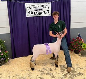 Reserve Champion Dorset Advantage Ewe
Elkhart County