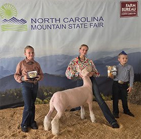 Obsession Show Stock 6614
“Payton”